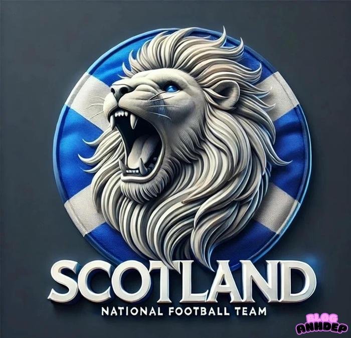 avatar đội tuyển