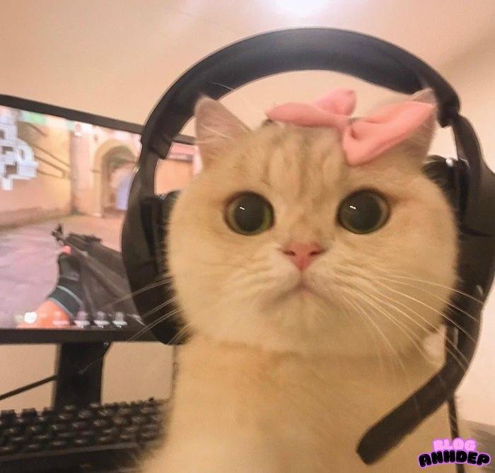 avatar game thủ ngầu