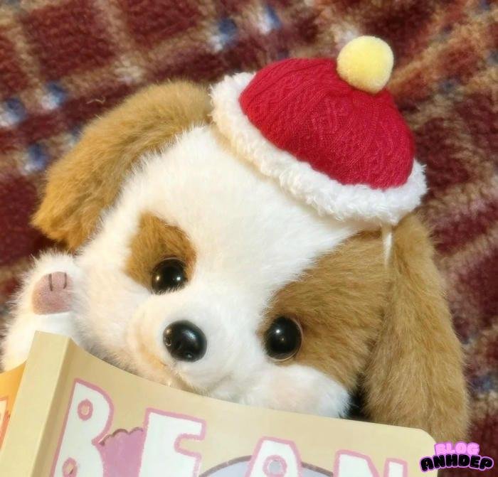 avatar giáng sinh màu đỏ