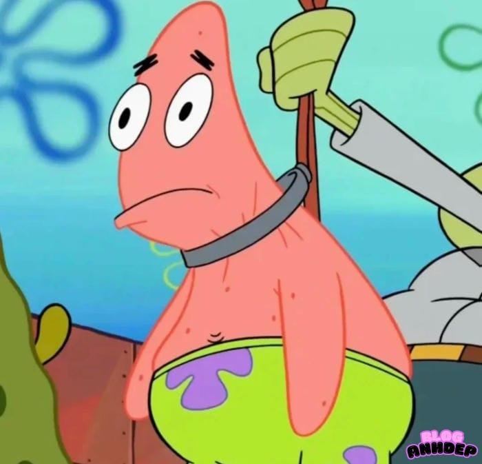 avatar hài hước profile