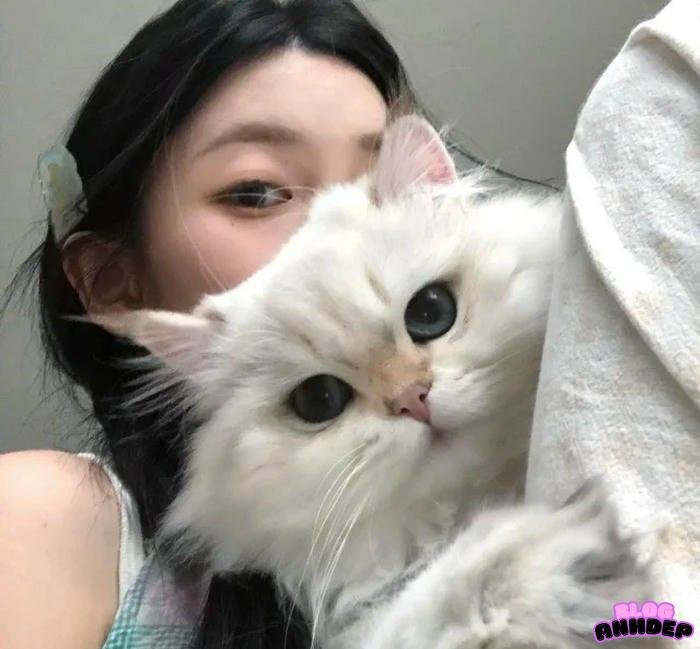 avatar hd ngầu chất