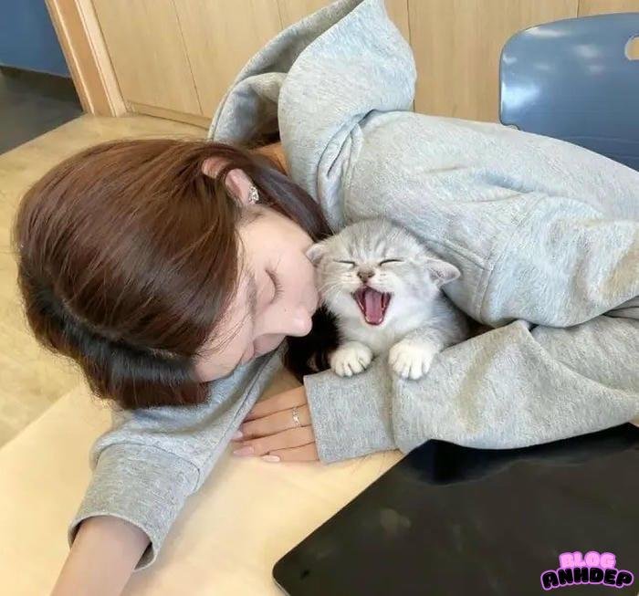 avatar hd sắc nét