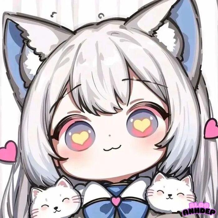 avatar mèo chibi
