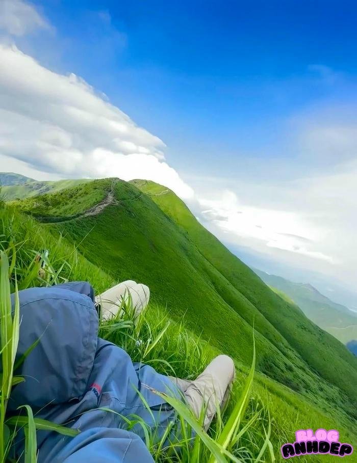 avatar phong cảnh 4k