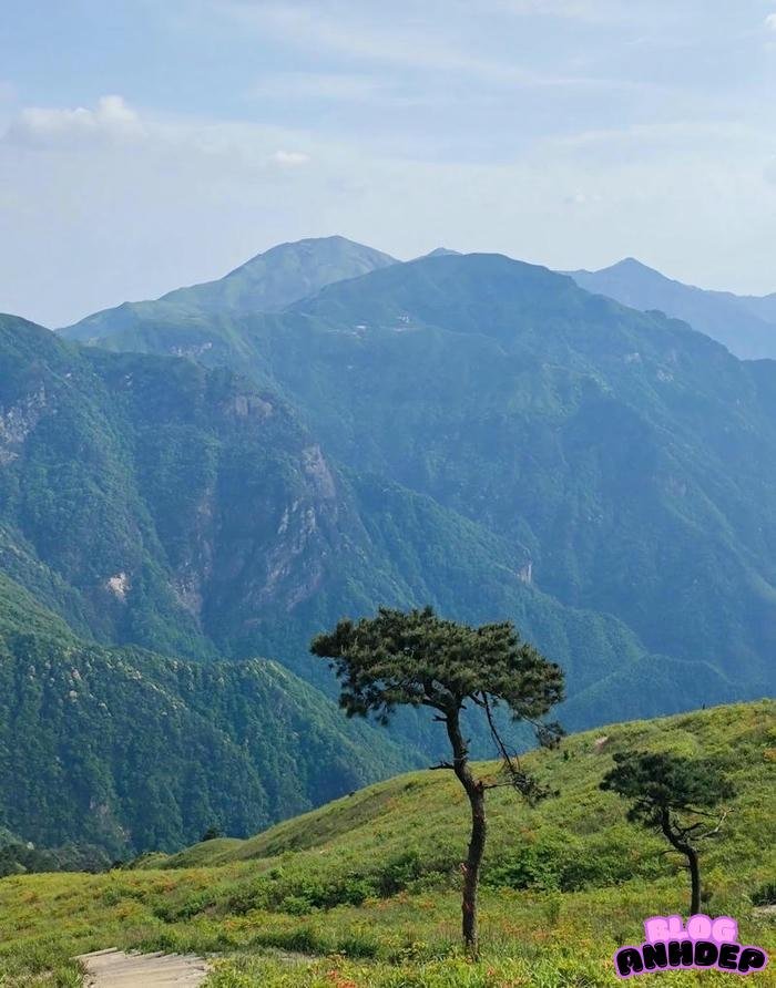 avatar phong cảnh cực đẹp