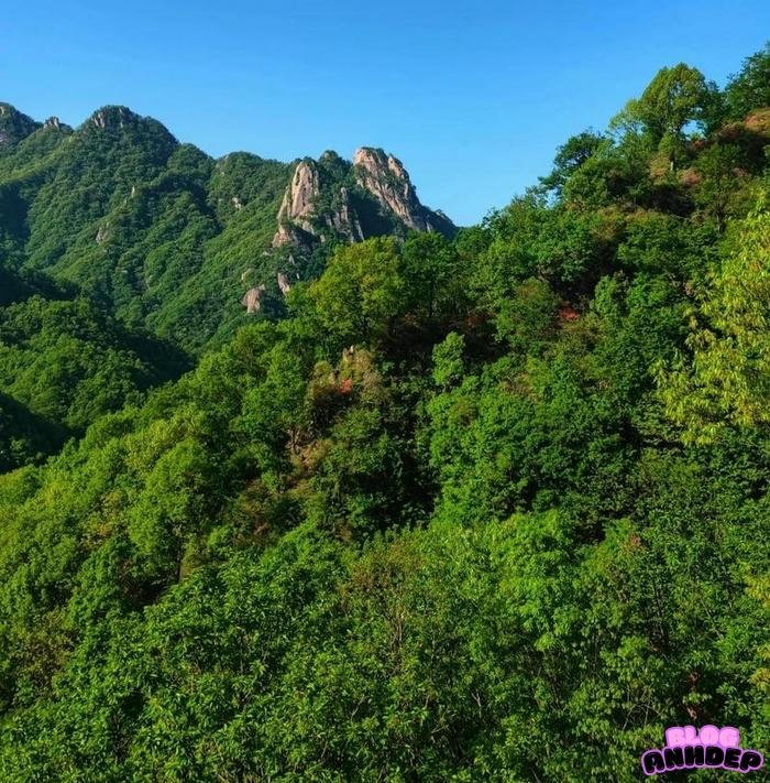 avatar phong cảnh đáng yêu