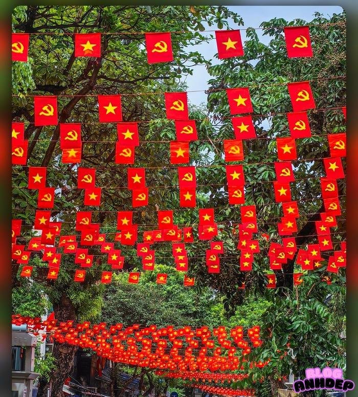 avatar quốc kỳ việt nam