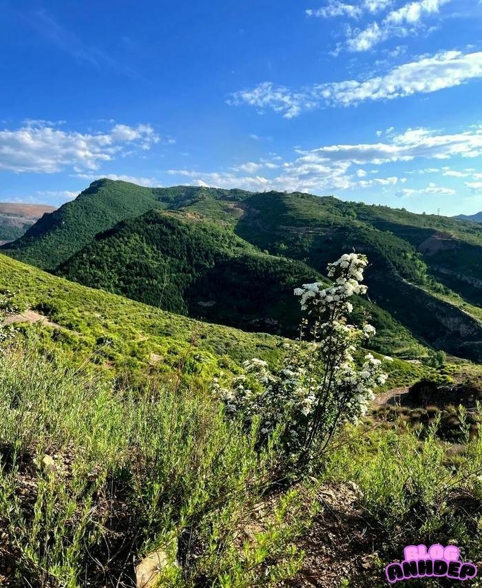 avatar tuyệt đẹp