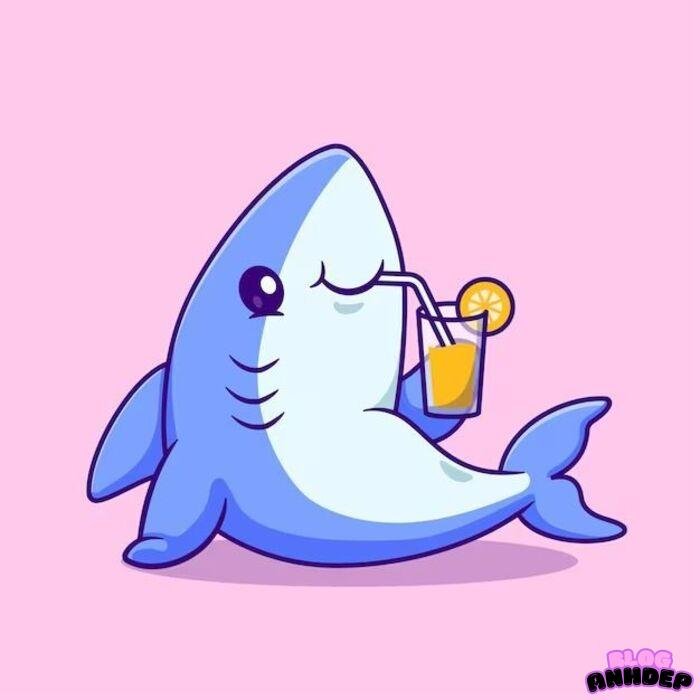 cá mập chibi 3d full