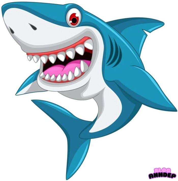 cá mập chibi 5k full