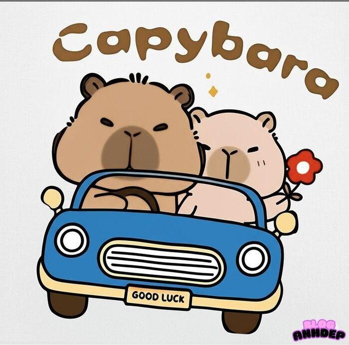 capybara chibi 5s full