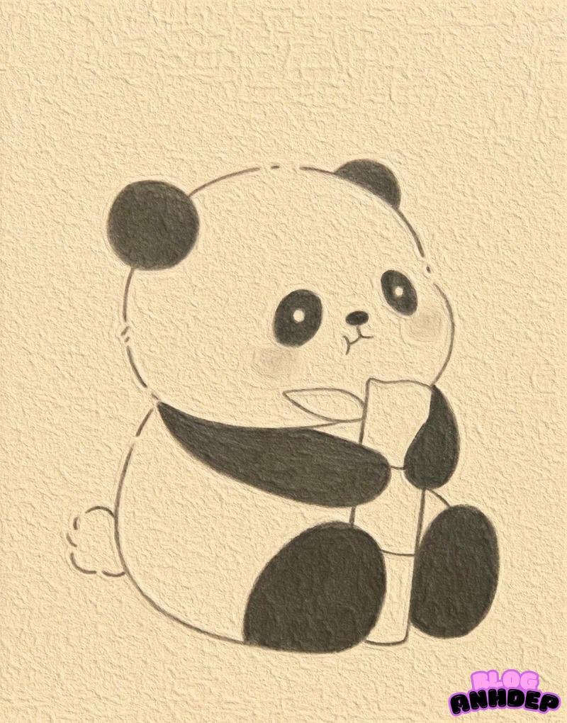 chibi panda viết tay