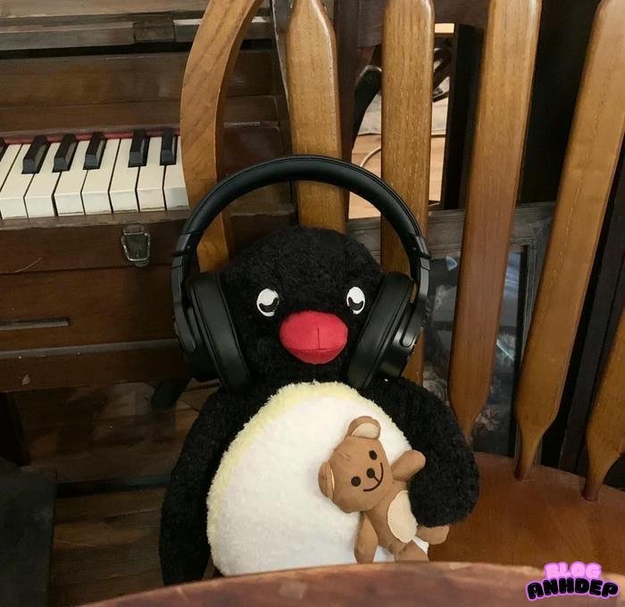 chim cánh cụt avatar