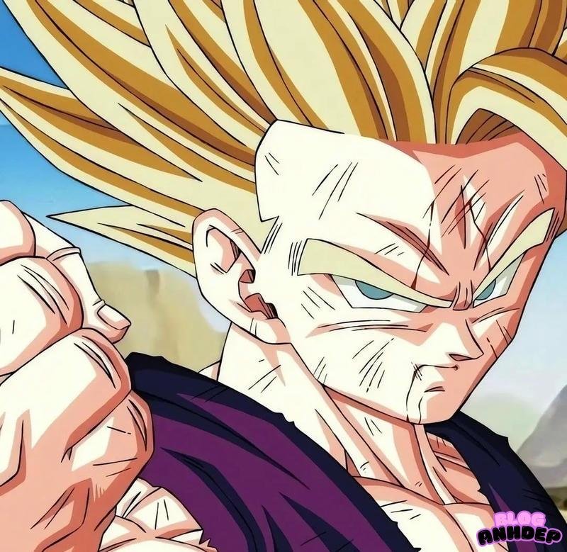 gohan manga