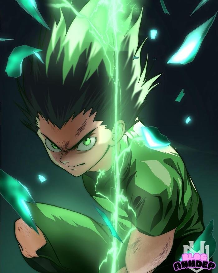 gon freecss dad
