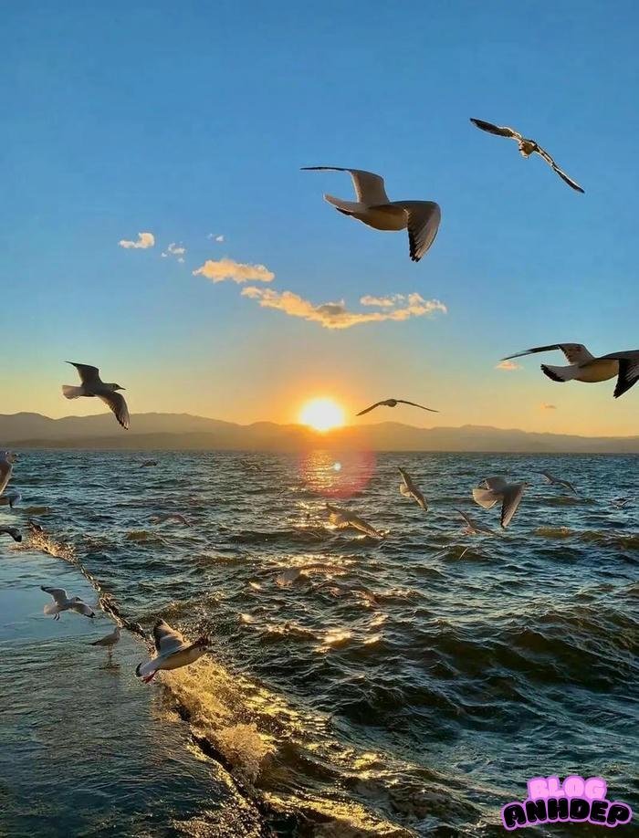 hình ảnh chill 4k