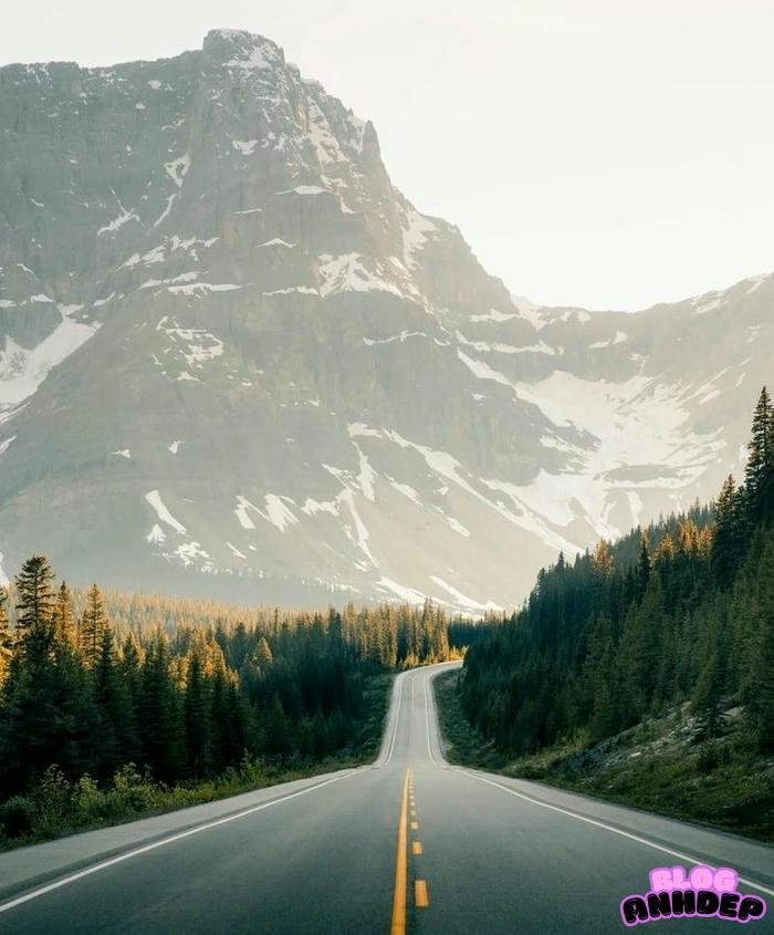 hình ảnh chill cực đẹp