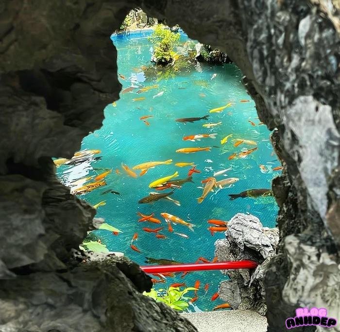 hình ảnh chill cute