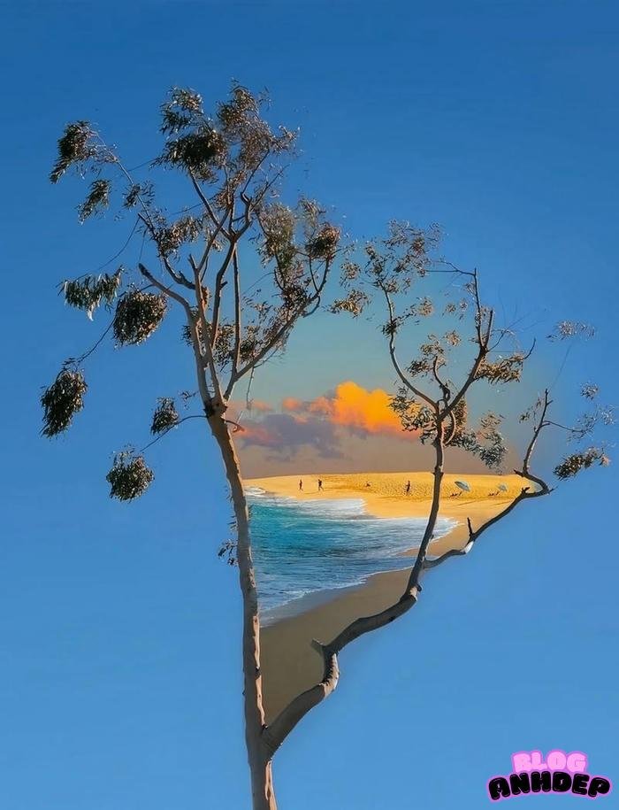 hình ảnh chill tuyệt đẹp