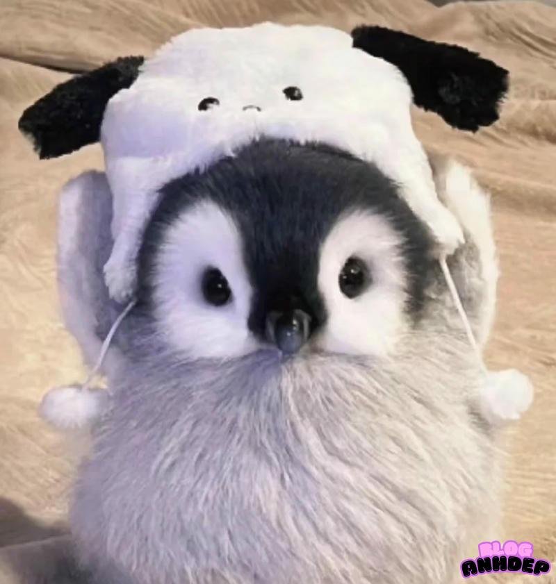 hình avatar chim cánh cụt cute