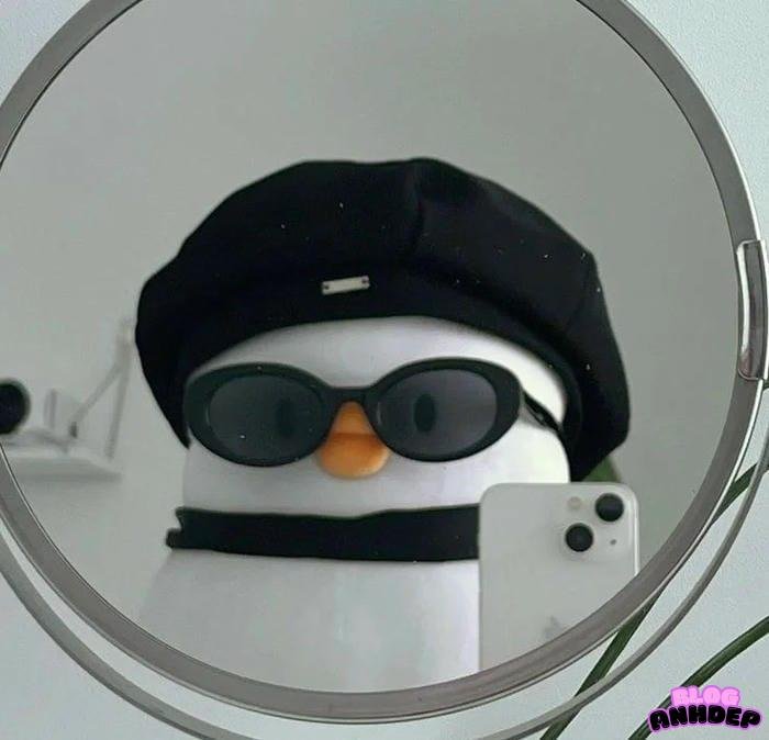 hình avatar độc lạ mới nhất