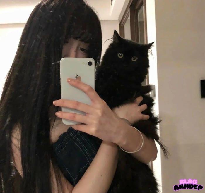 hình avatar hd cực nét