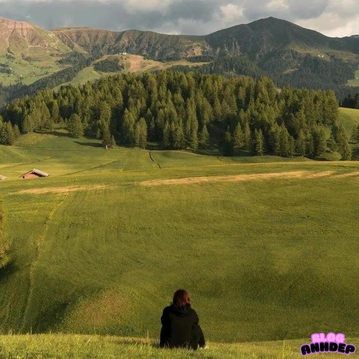 hình đại diện cô đơn mùa đông