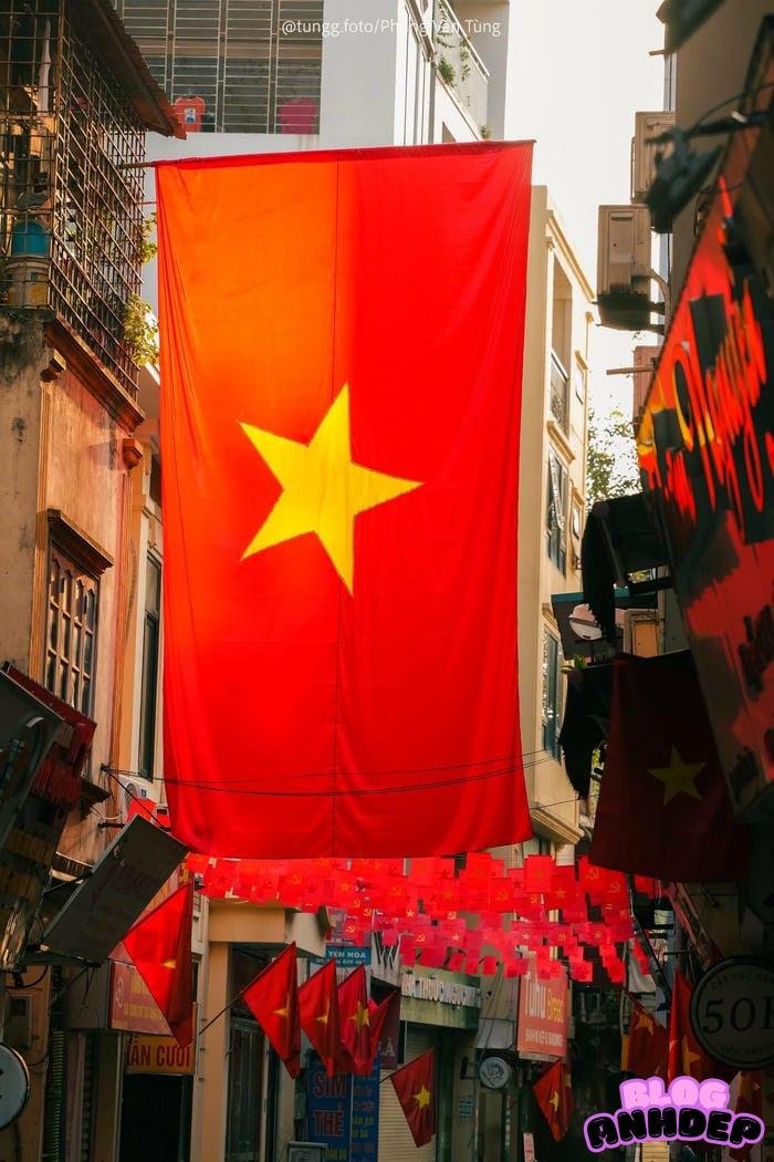 hình đại diện cờ việt nam ngầu