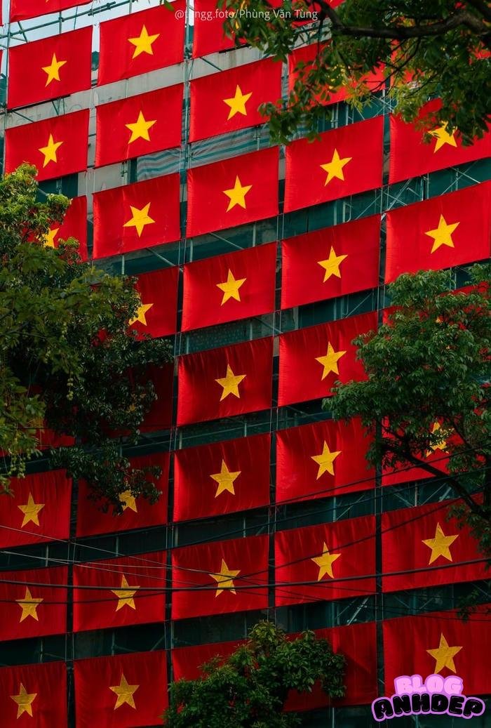 hình đại diện cờ việt nam phong cách