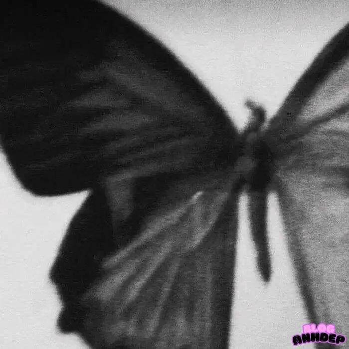 hình đại diện đen đẹp nhất