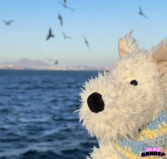 hình đại diện độc lạ độc bản