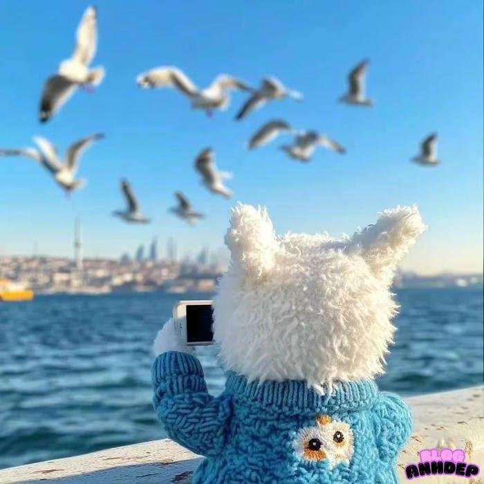 hình đại diện độc lạ sắc nét