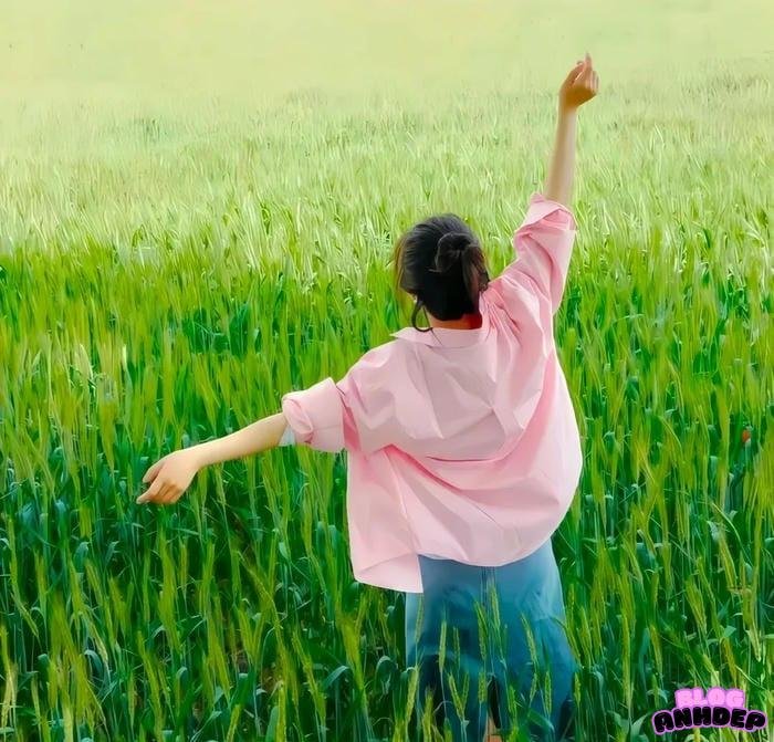 hình đại diện facebook nữ đơn giản