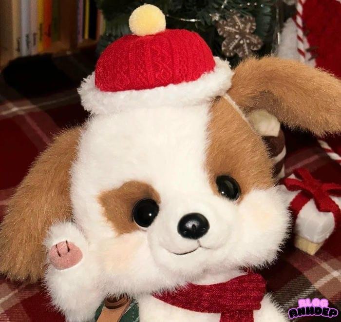 hình đại diện giáng sinh profile