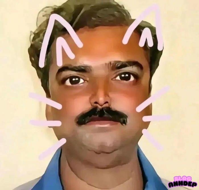 hình đại diện hài hước độc lạ