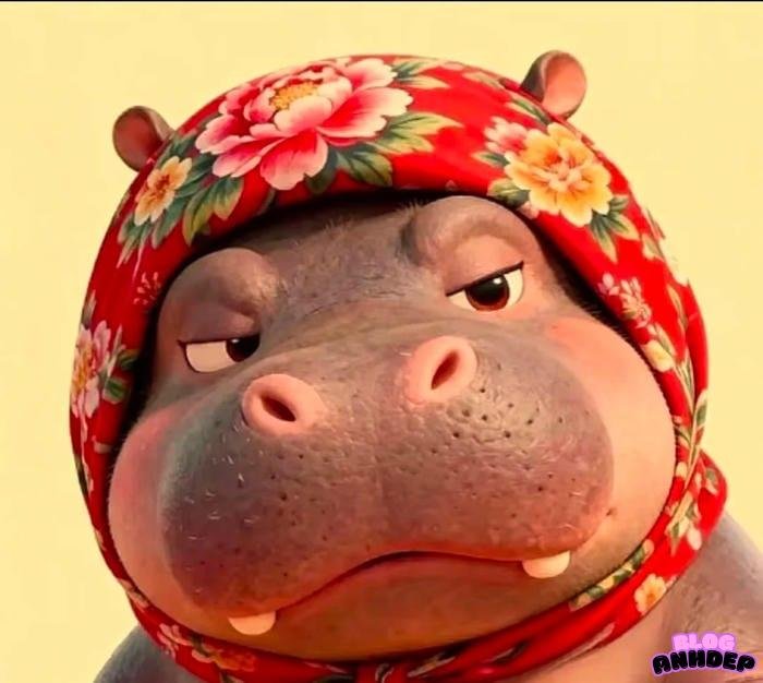 hình đại diện hài hước ngớ ngẩn