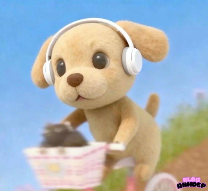 hình đại diện hài hước thú cưng