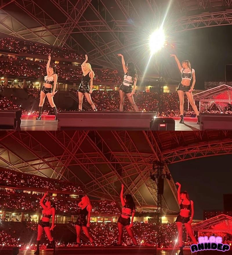 nhóm nhạc avatar blackpink